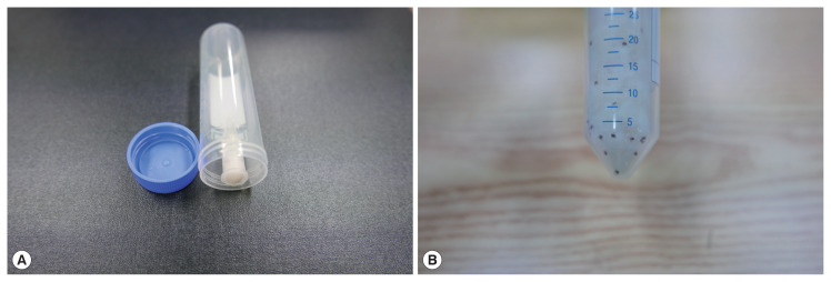 Extermination Speed of an Imidacloprid and Flumethrin Polymer Matrix Collar against Larvae, Nymphs and Adults of Haemaphysalis longicornis.