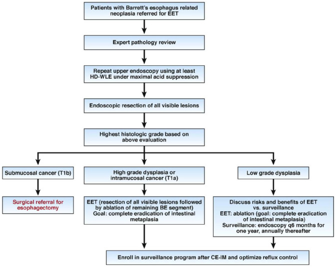 The evolution of endoscopic therapy for Barrett's esophagus.