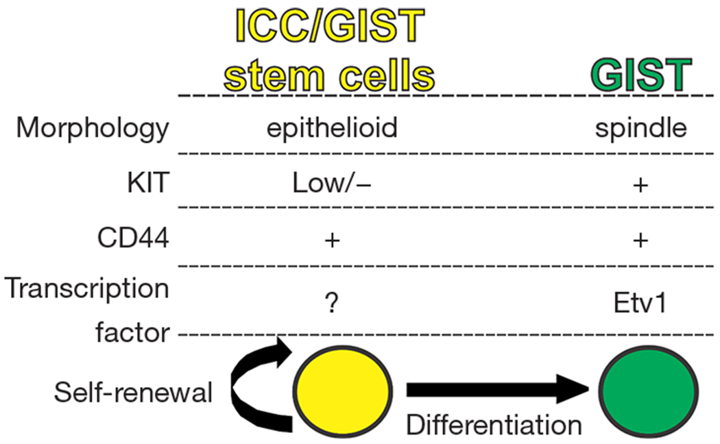 A narrative review of imatinib-resistant gastrointestinal stromal tumors.