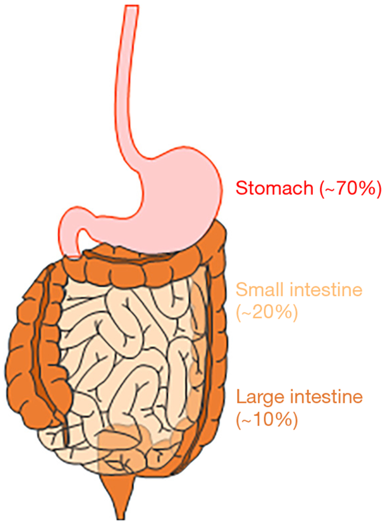 A narrative review of imatinib-resistant gastrointestinal stromal tumors.