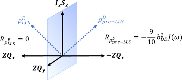 Mechanisms of coherent re-arrangement for long-lived spin order.