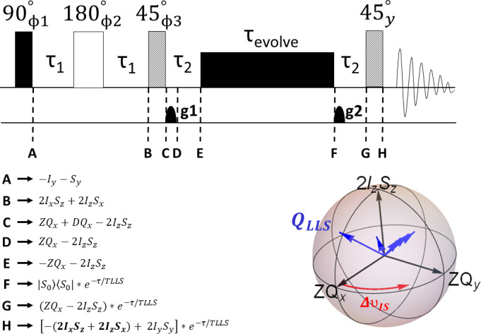 Mechanisms of coherent re-arrangement for long-lived spin order.
