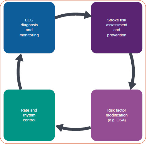 Sleep Apnoea and AF: Where Do We Stand? Practical Advice for Clinicians.