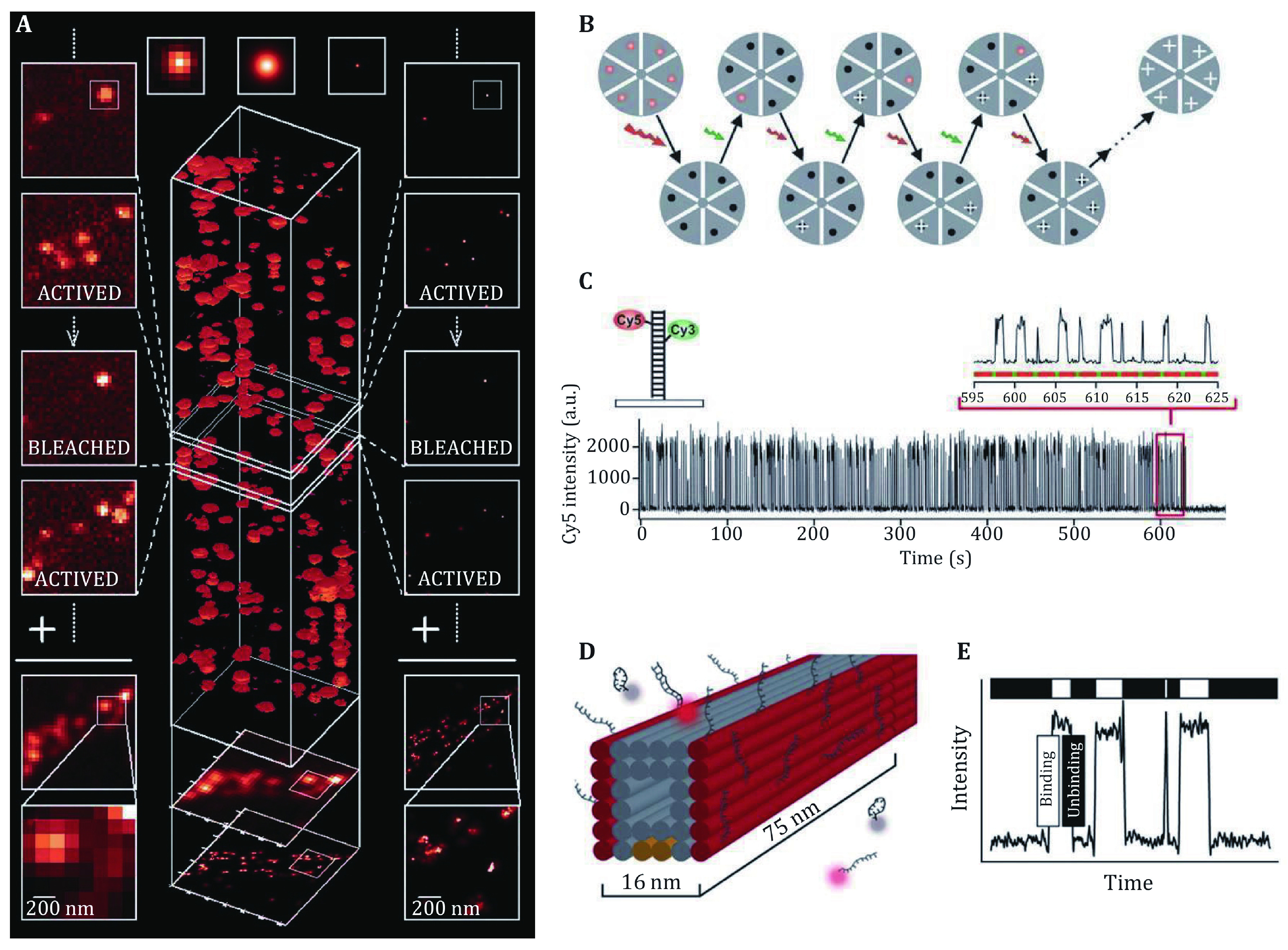 Recent progress on single-molecule localization microscopy.