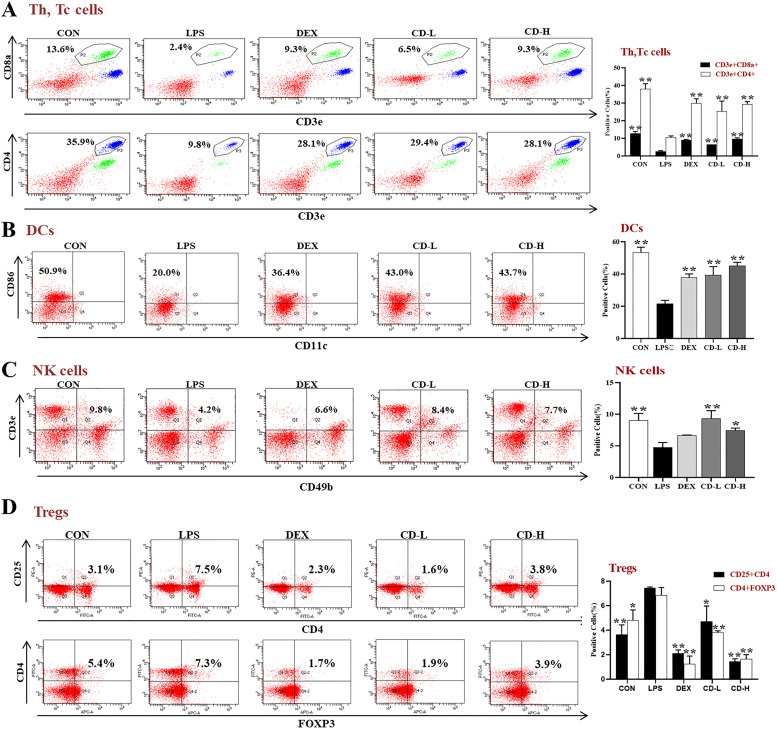 Chrysosplenol D protects mice against LPS-induced acute lung injury by inhibiting oxidative stress, inflammation, and apoptosis via TLR4-MAPKs/NF-κB signaling pathways.