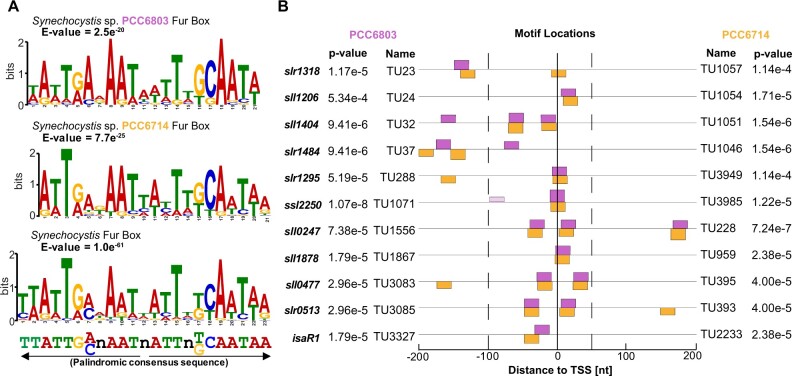 Genome-wide identification and characterization of Fur-binding sites in the cyanobacteria Synechocystis sp. PCC 6803 and PCC 6714.