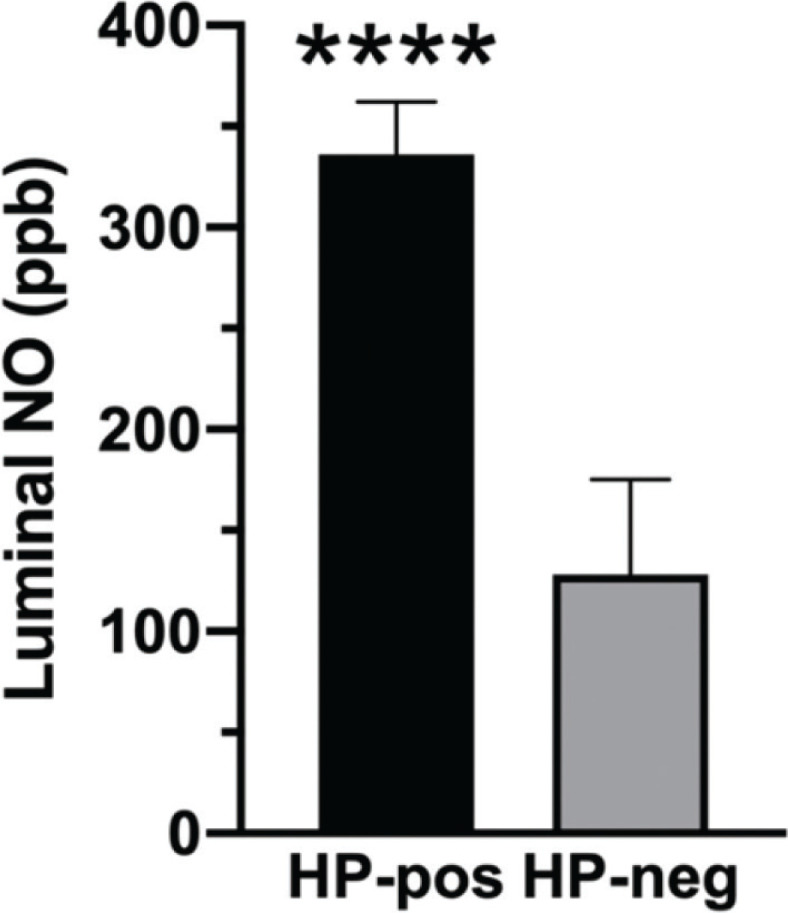 Elevated gaseous luminal nitric oxide and circulating IL-8 as features of <i>Helicobacter pylori</i>-induced gastric inflammation.