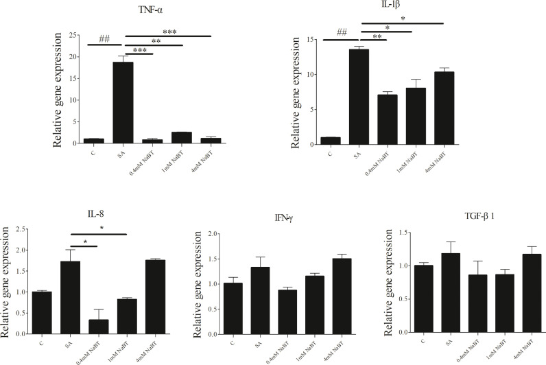 In vitro study of sodium butyrate on soyasaponin challenged intestinal epithelial cells of turbot (Scophthalmus maximus L.) refer to inflammation, apoptosis and antioxidant enzymes