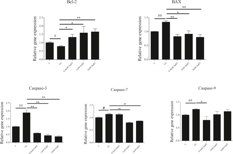 In vitro study of sodium butyrate on soyasaponin challenged intestinal epithelial cells of turbot (Scophthalmus maximus L.) refer to inflammation, apoptosis and antioxidant enzymes