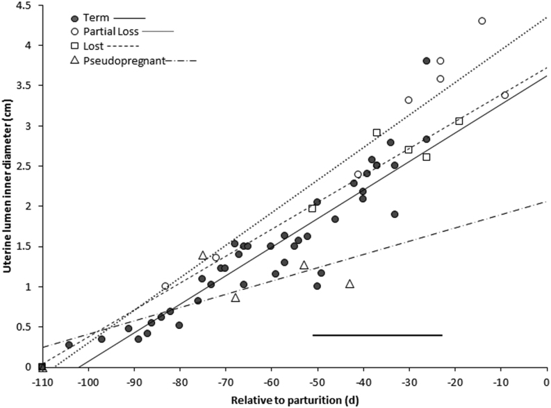 Incidence of pregnancy loss and characterization of fetal development in red pandas.