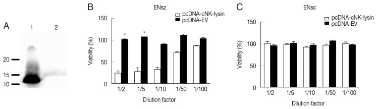 Expression of Chicken NK-Lysin and Its Role in Chicken Coccidiosis Induced by Eimeria necatrix.