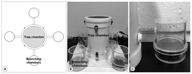 Attraction and Repellent Behaviors of Culicoides Biting Midges toward Cow Dung, Carbon Dioxide, and Essential Oils.