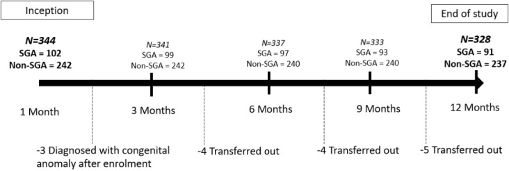 Growth patterns and nutritional status of small for gestational age infants in Malaysia during the first year of life.