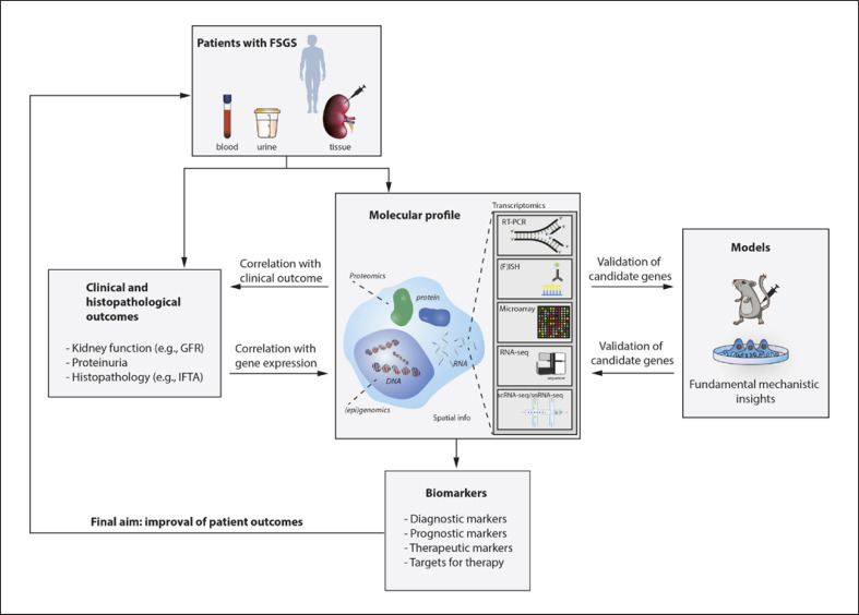 Deconvolution of Focal Segmental Glomerulosclerosis Pathophysiology Using Transcriptomics Techniques.