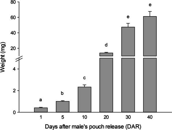 Dynamic changes in DNA methylation during seahorse (Hippocampus reidi) postnatal development and settlement.