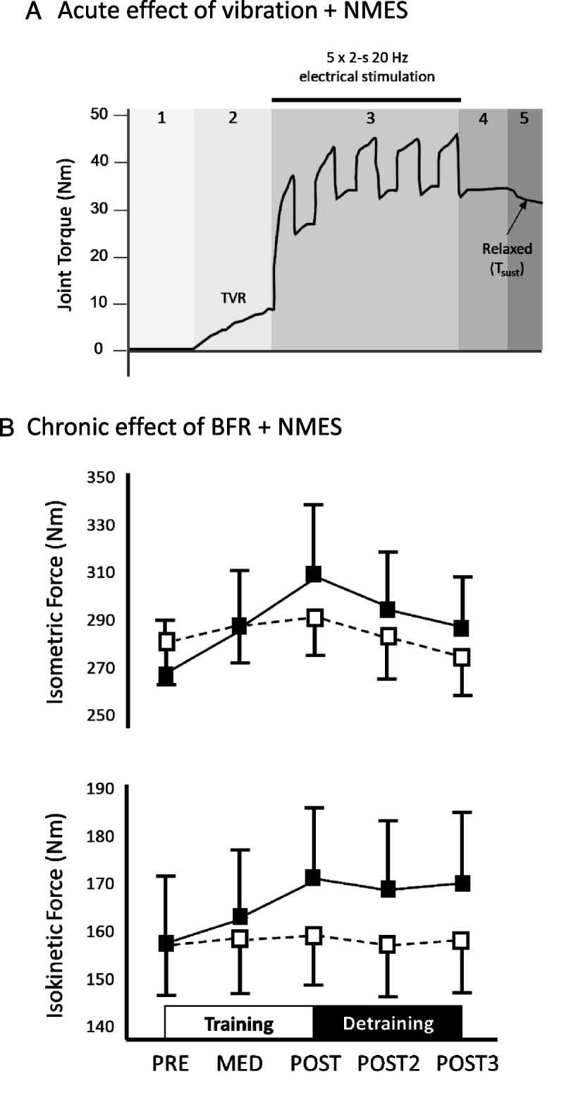 Enhancing Adaptations to Neuromuscular Electrical Stimulation Training Interventions.