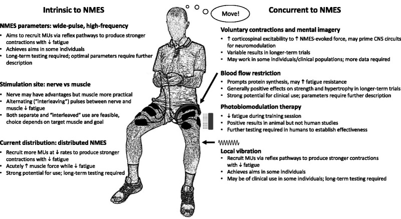 Enhancing Adaptations to Neuromuscular Electrical Stimulation Training Interventions.