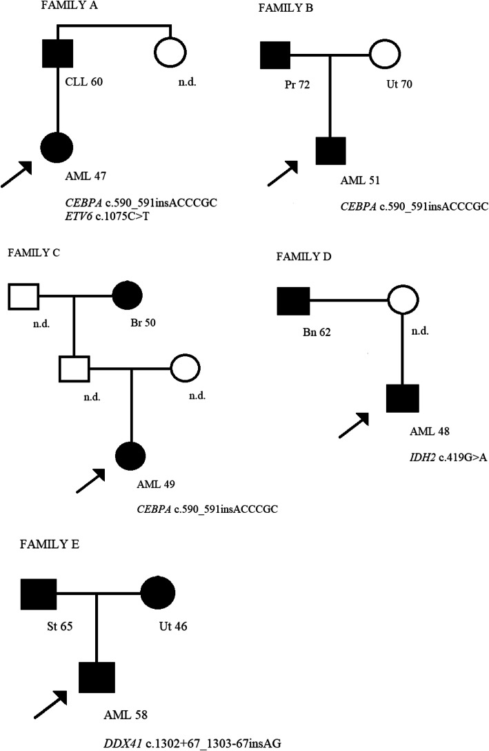 Germline mutations among Polish patients with acute myeloid leukemia.