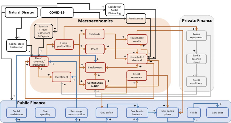 Managing the financial risks of climate change and pandemics: What we know (and don't know).