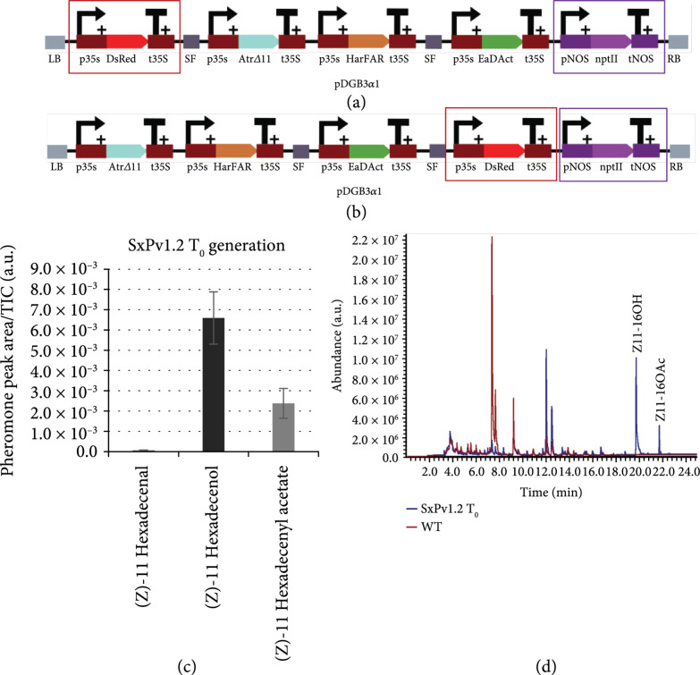 Production of Volatile Moth Sex Pheromones in Transgenic <i>Nicotiana benthamiana</i> Plants.