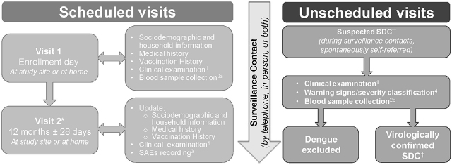 Assessing the burden of dengue among household members in Alaminos, Laguna, the Philippines: a prospective cohort study.