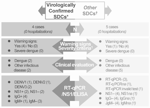 Assessing the burden of dengue among household members in Alaminos, Laguna, the Philippines: a prospective cohort study.