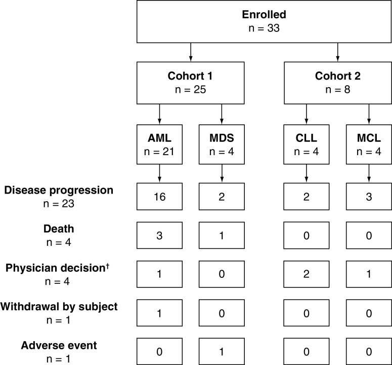 A Phase I trial of talazoparib in patients with advanced hematologic malignancies.