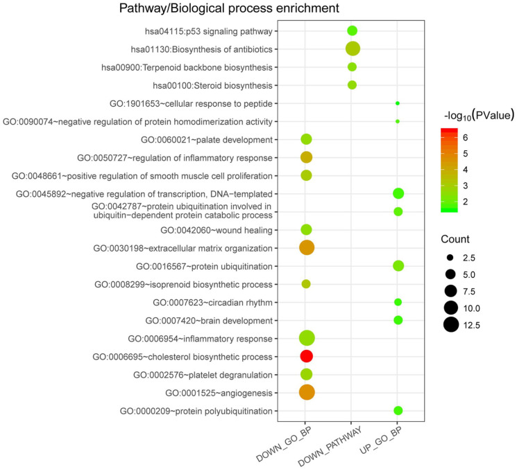 Identification of Conserved Pappalysin 1-Derived Circular RNA-Mediated Competing Endogenous RNA in Osteosarcoma.