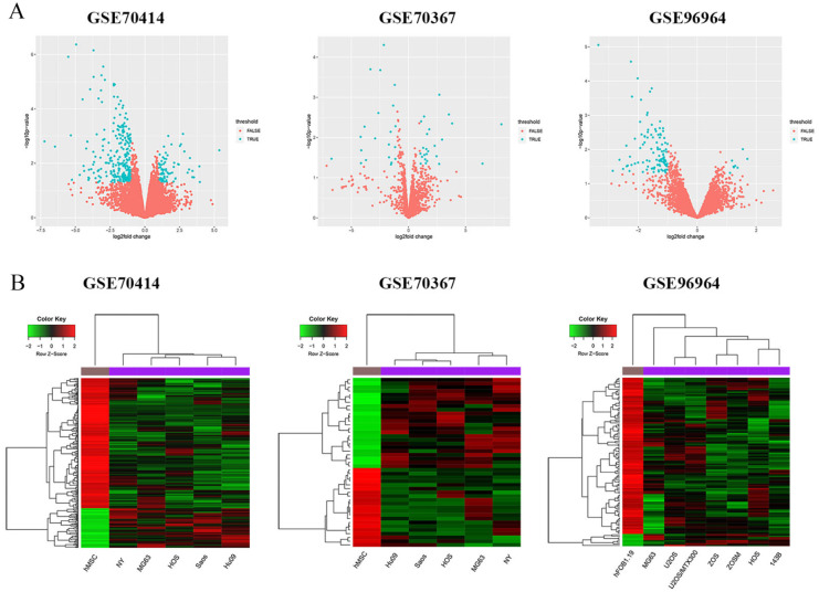 Identification of Conserved Pappalysin 1-Derived Circular RNA-Mediated Competing Endogenous RNA in Osteosarcoma.