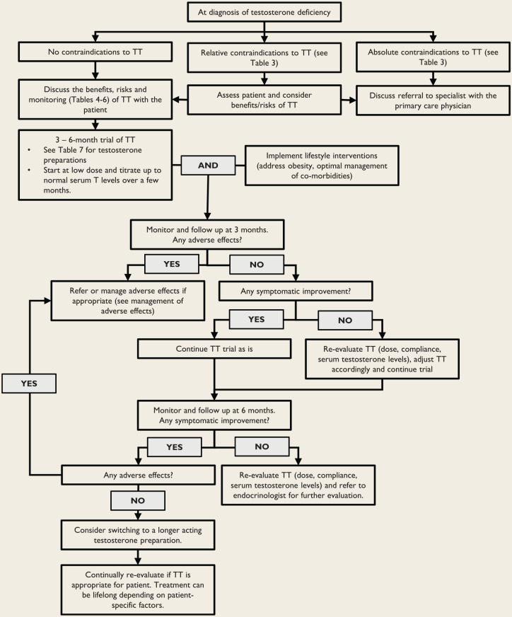 Practice guideline for pharmacists: The management of late-onset hypogonadism.