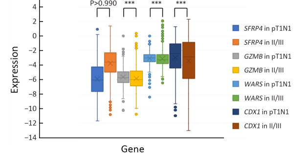 Single patient classifier as a prognostic biomarker in pT1N1 gastric cancer: Results from two large Korean cohorts.