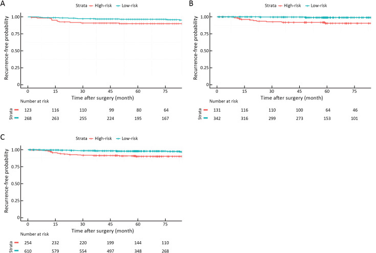 Single patient classifier as a prognostic biomarker in pT1N1 gastric cancer: Results from two large Korean cohorts.