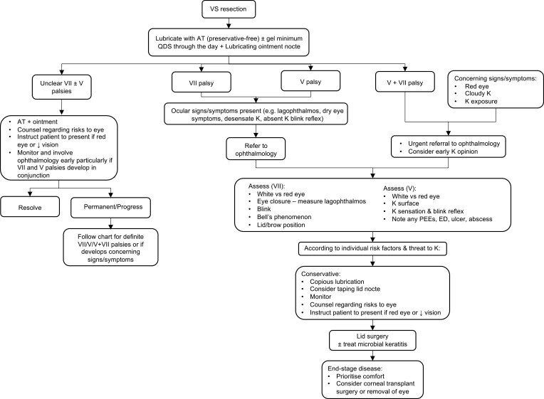 Neuro-Ophthalmic Complications of Vestibular Schwannoma Resection: Current Perspectives.