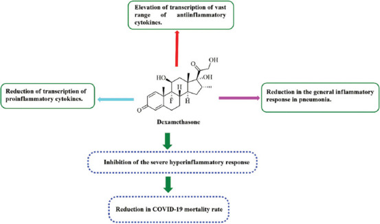 Insight into the emerging role of SARS-CoV-2 nonstructural and accessory proteins in modulation of multiple mechanisms of host innate defense.