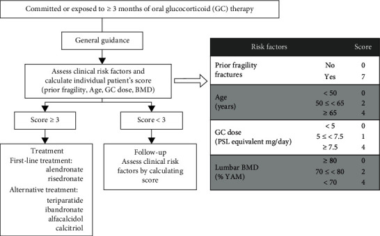 Treatment of Glucocorticoid-Induced Osteoporosis and Risk Factors for New Vertebral Fractures in Female Patients with Autoimmune Diseases.