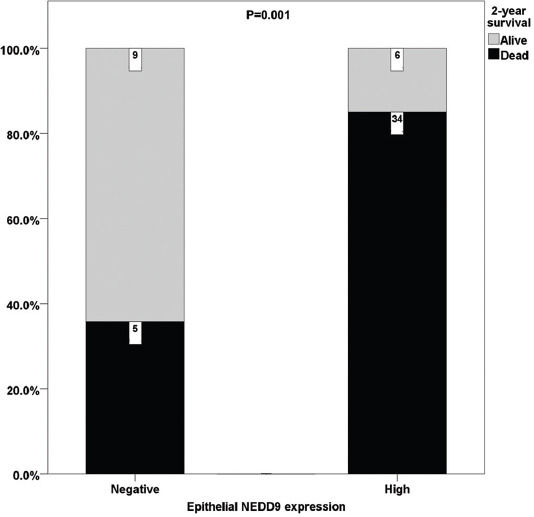 Expression of NEDD9 and connexin-43 in neoplastic and stromal cells of gastric adenocarcinoma.