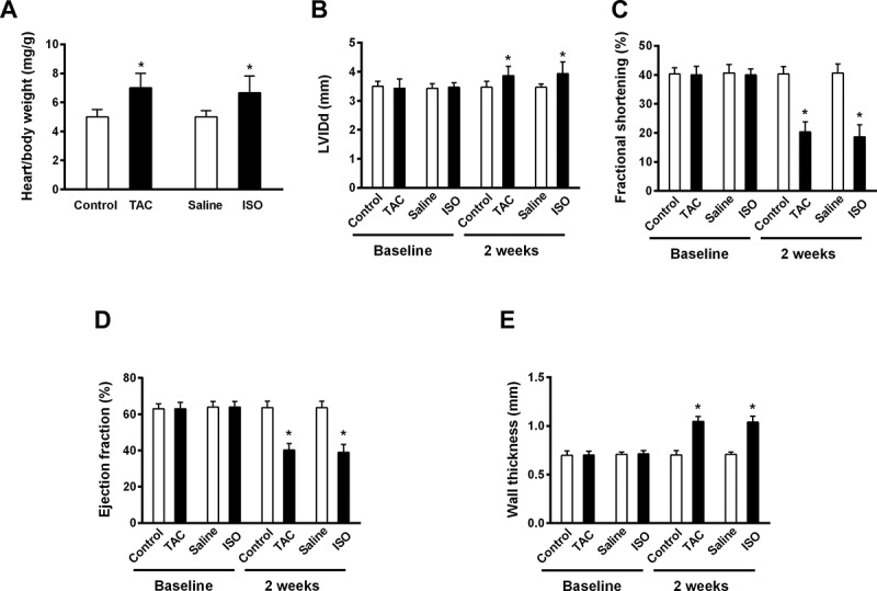 Upregulation of miR-128 Mediates Heart Injury by Activating Wnt/β-catenin Signaling Pathway in Heart Failure Mice.