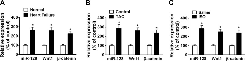 Upregulation of miR-128 Mediates Heart Injury by Activating Wnt/β-catenin Signaling Pathway in Heart Failure Mice.