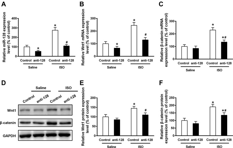 Upregulation of miR-128 Mediates Heart Injury by Activating Wnt/β-catenin Signaling Pathway in Heart Failure Mice.