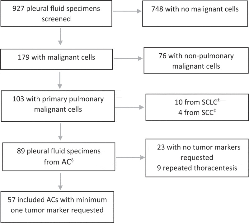 The prevalence of tumour markers in malignant pleural effusions associated with primary pulmonary adenocarcinoma: a retrospective study.