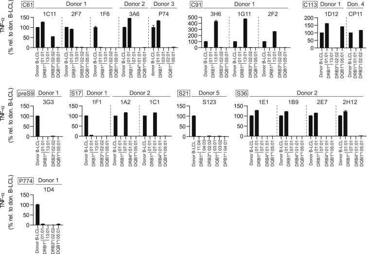 Characterization of a library of 20 HBV-specific MHC class II-restricted T cell receptors.