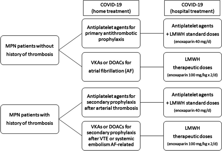 Philadelphia-Negative Myeloproliferative Neoplasms Around the COVID-19 Pandemic.