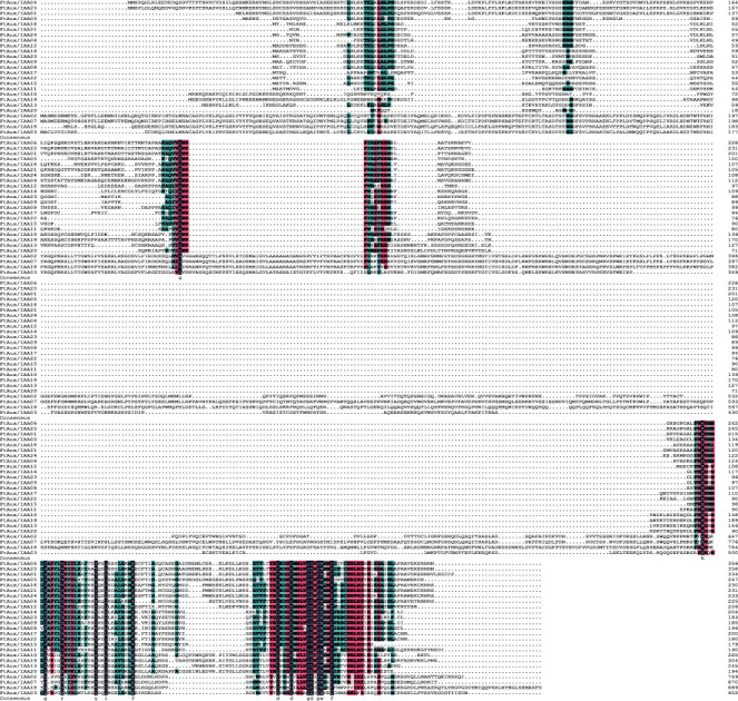 Genome-Wide Analysis of the Auxin/Indoleacetic Acid Gene Family and Response to Indole-3-Acetic Acid Stress in Tartary Buckwheat (<i>Fagopyrum tataricum</i>).