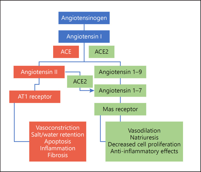 Current Understanding of Clinical Manifestations of COVID-19 in Glomerular Disease.