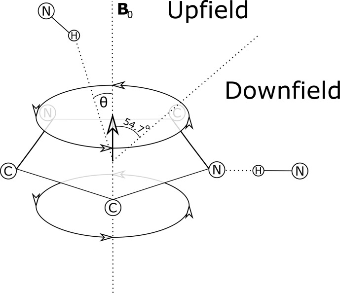 Anomalous amide proton chemical shifts as signatures of hydrogen bonding to aromatic sidechains.