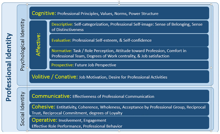 Professional identity of medical students: Proposing a Meta Static Structural Model.