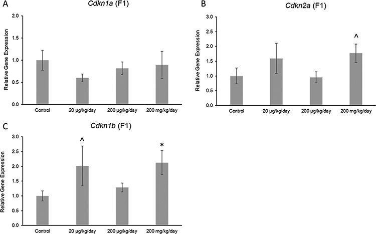 Prenatal exposure to a mixture of phthalates accelerates the age-related decline in reproductive capacity but may not affect direct biomarkers of ovarian aging in the F1 generation of female mice.