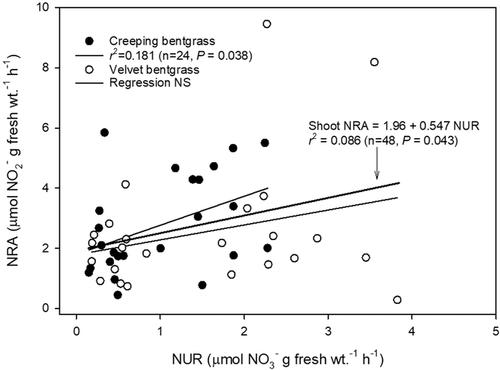 Comparison of nitrogen assimilation components among Agrostis species and cultivars