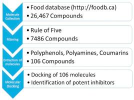 Identification of Food Compounds as inhibitors of SARS-CoV-2 main protease using molecular docking and molecular dynamics simulations