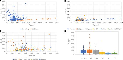 The Steptoean Positive Carbon Isotope Excursion (SPICE), inorganic aragonite precipitation and sea water chemistry: Insights from the Middle–Late Cambrian Port au Port Group, Newfoundland